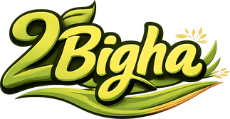 2bigha